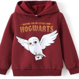 Harry Potter Hoodie for Kids Girls Boys Gryffindor Slytherin Ravenclaw Hufflepuff Pullover Hooded Sweatshirt Hogwarts Clothes